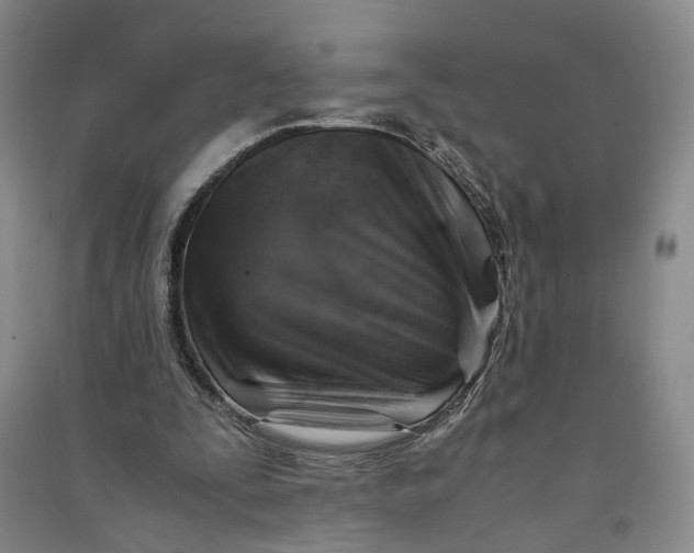 X0000090880295200708171651