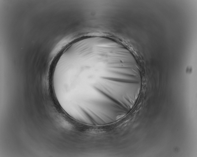 X0000090880296200708171651