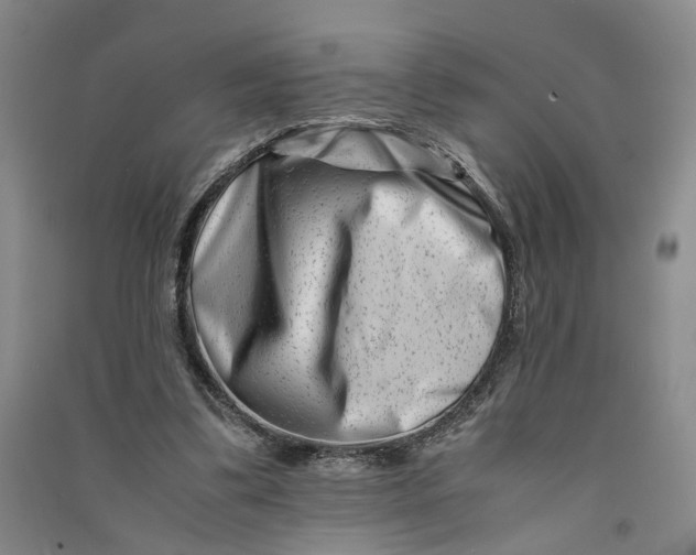 X0000090880299200708171651