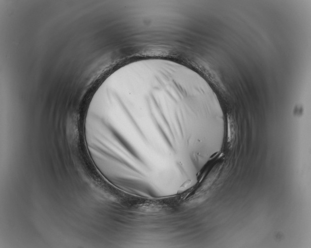 X0000090880300200708171651