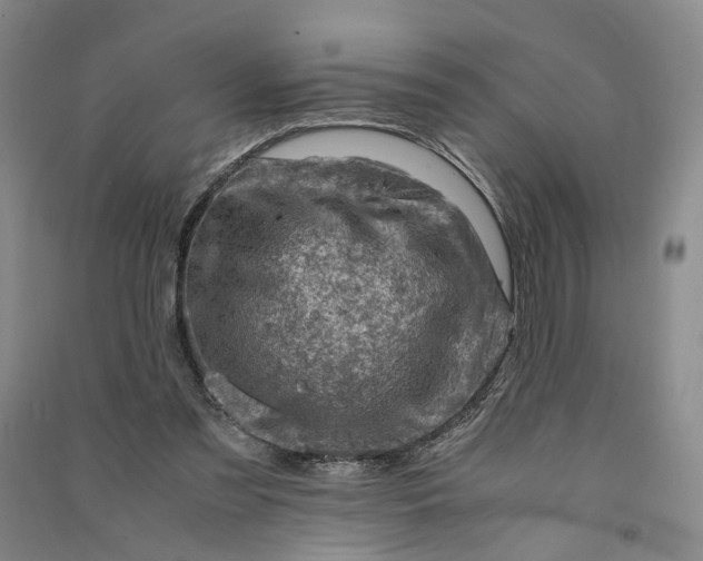 X0000090880301200708171651