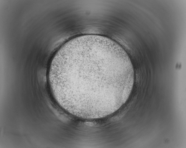 X0000090880302200708171651