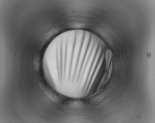 X0000090880304200708171651