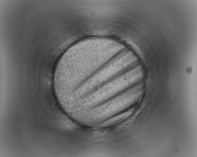 X0000090880305200708171651