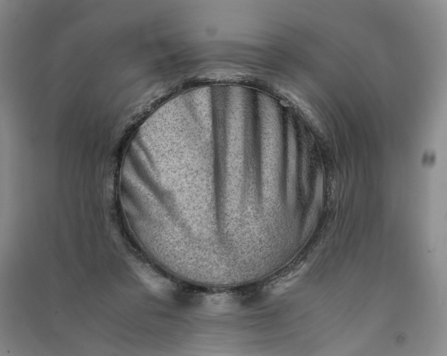 X0000090880309200708171650