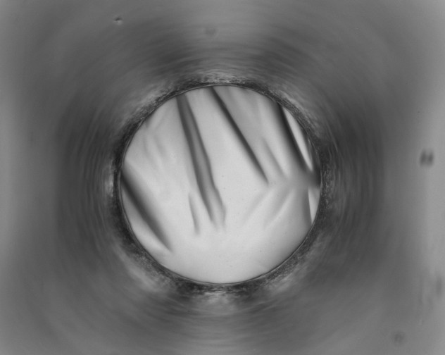 X0000090880310200708171650