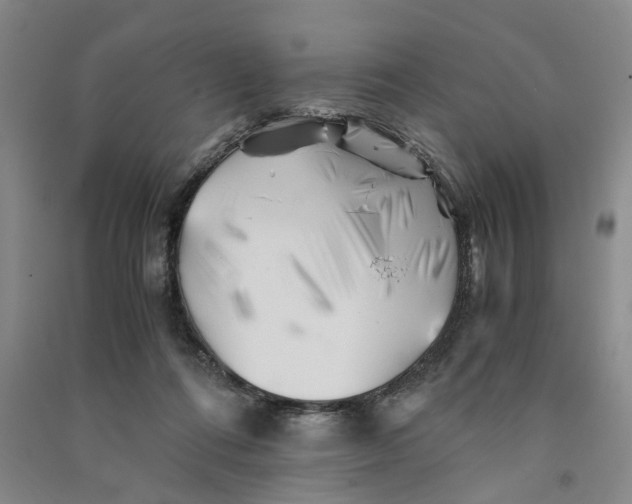 X0000090880312200708171650