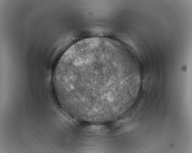 X0000090880314200708171650