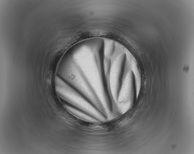 X0000090880315200708171650