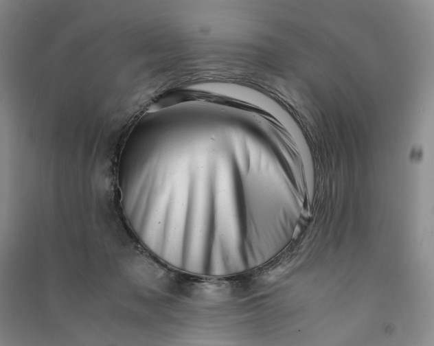 X0000090880317200708171650