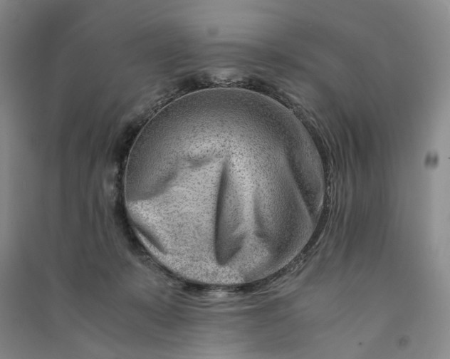 X0000090880319200708171650