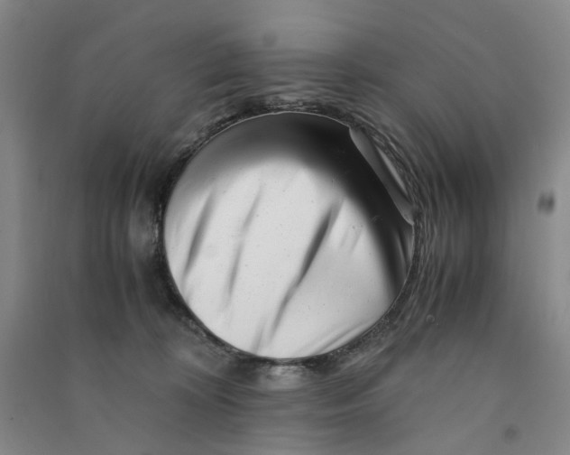 X0000090880324200708171650