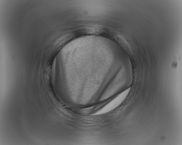 X0000090880325200708171650