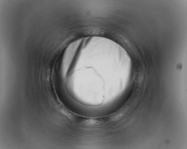 X0000090880326200708171650