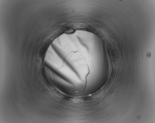 X0000090880327200708171650