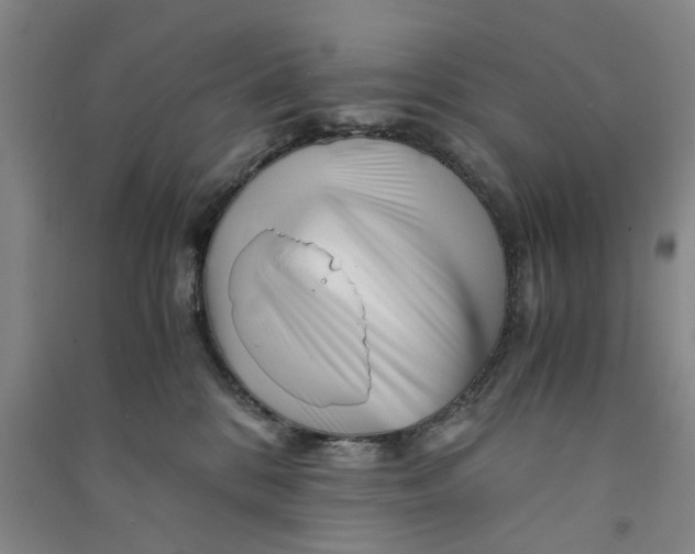 X0000090880328200708171650