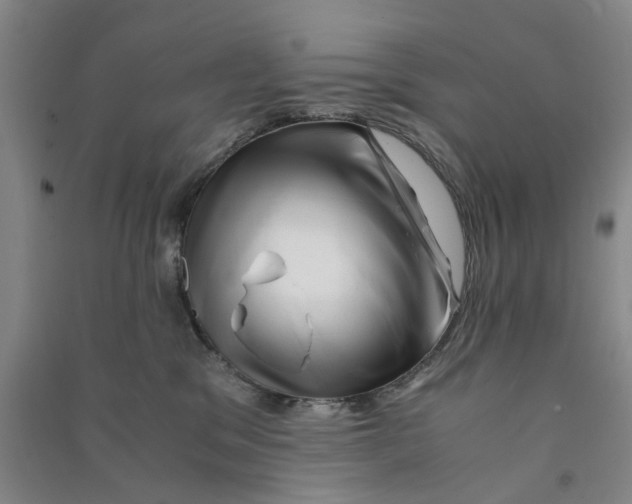 X0000090880329200708171650