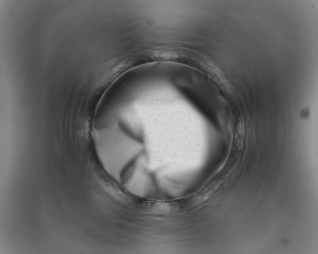 X0000090880330200708171650