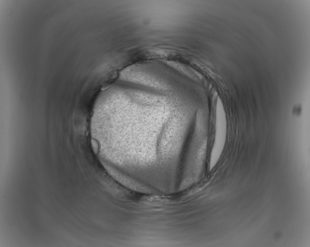 X0000090880331200708171650