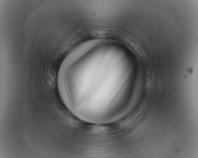 X0000090880332200708171650