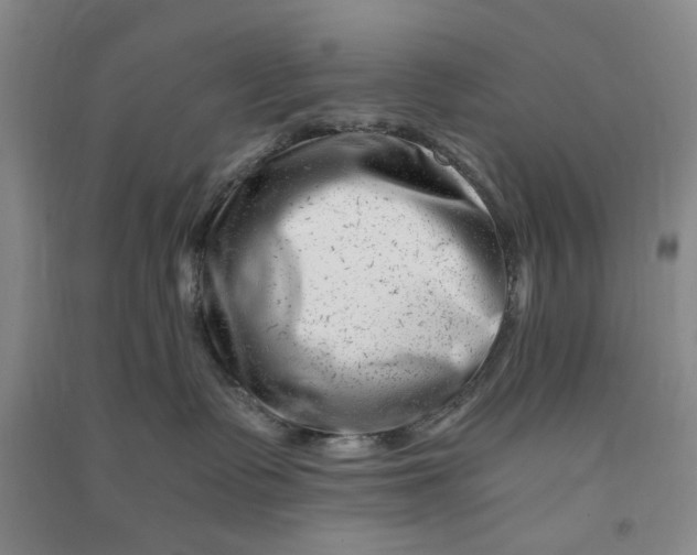 X0000090880335200708171650