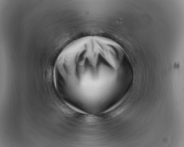 X0000090880336200708171650