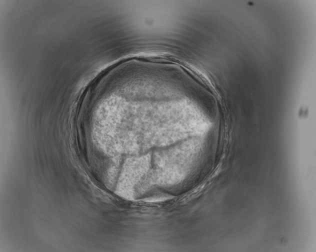 X0000090880337200708171650