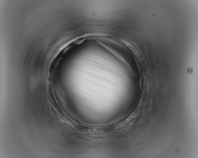 X0000090880338200708171650