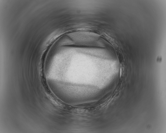 X0000090880339200708171650