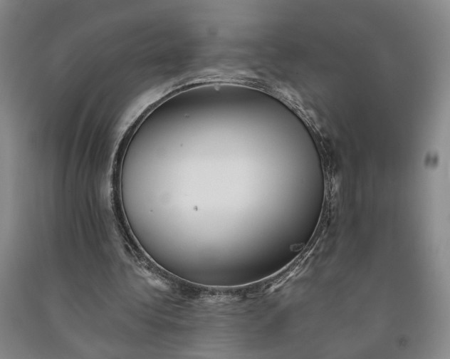 X0000090880340200708171650