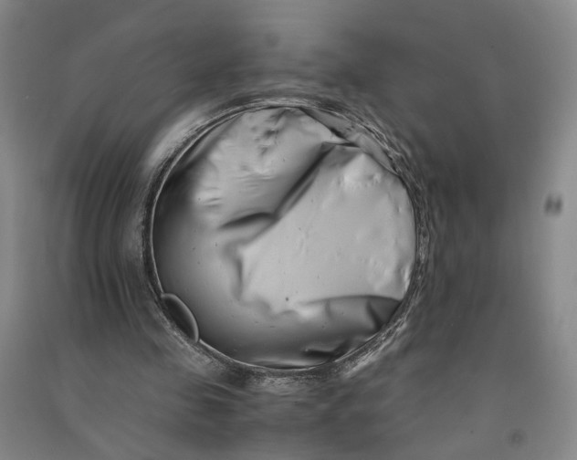 X0000090880341200708171650