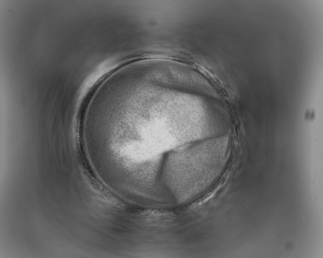 X0000090880343200708171650