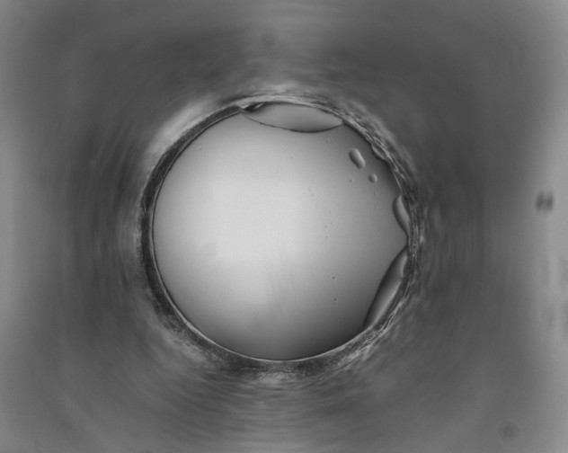 X0000090880344200708171650