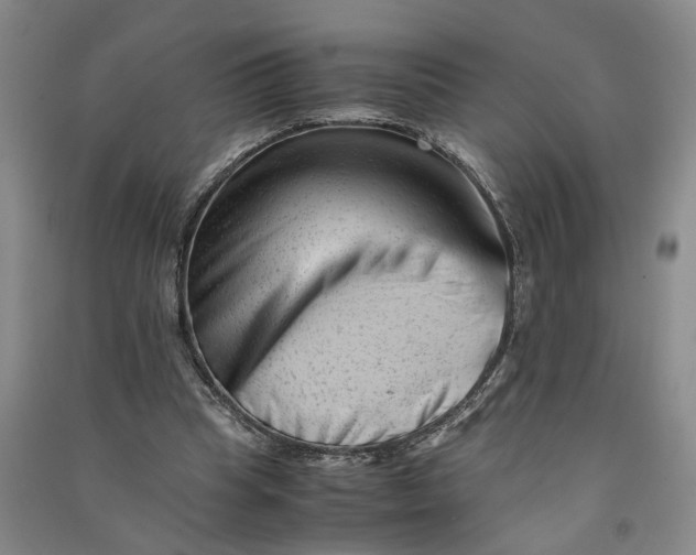 X0000090880345200708171650