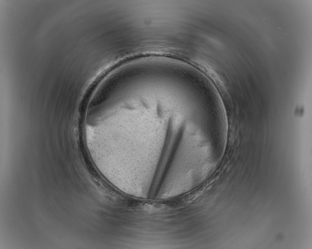 X0000090880346200708171650