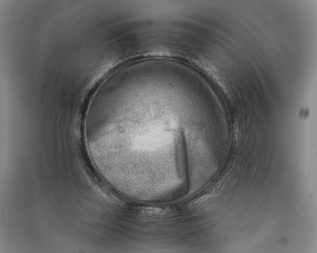 X0000090880347200708171650