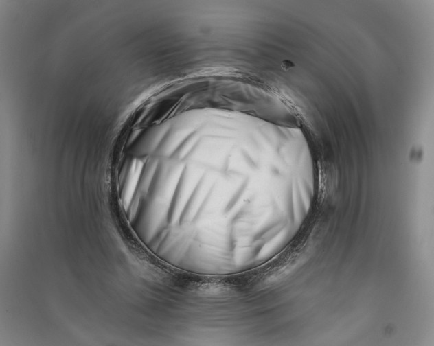 X0000090880348200708171650