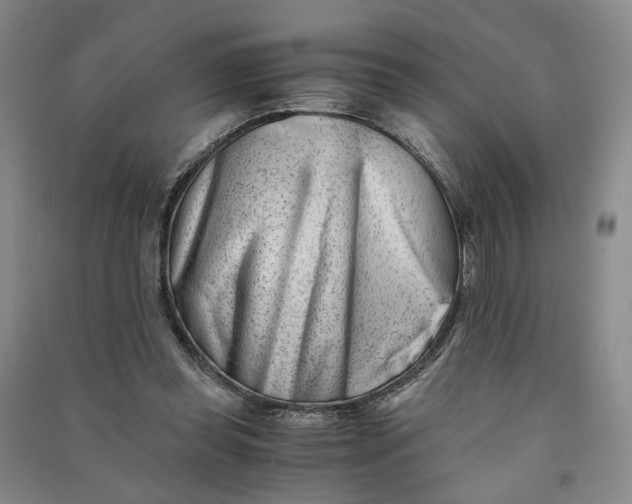 X0000090880349200708171650