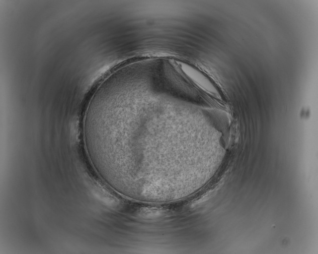 X0000090880351200708171650