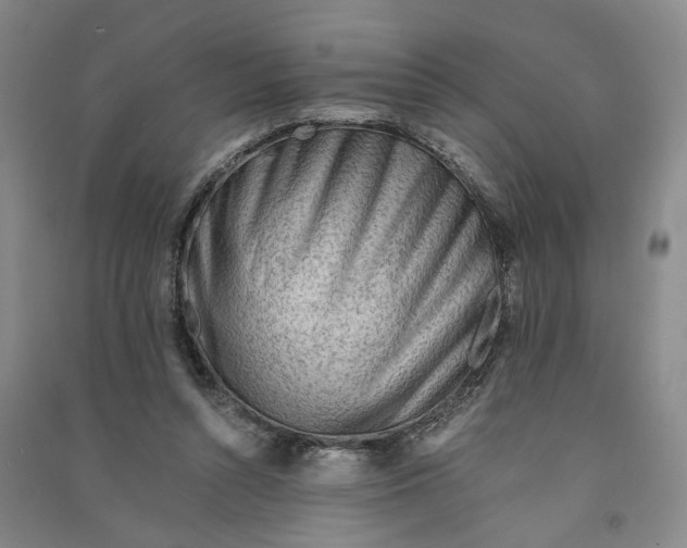 X0000090880352200708171650