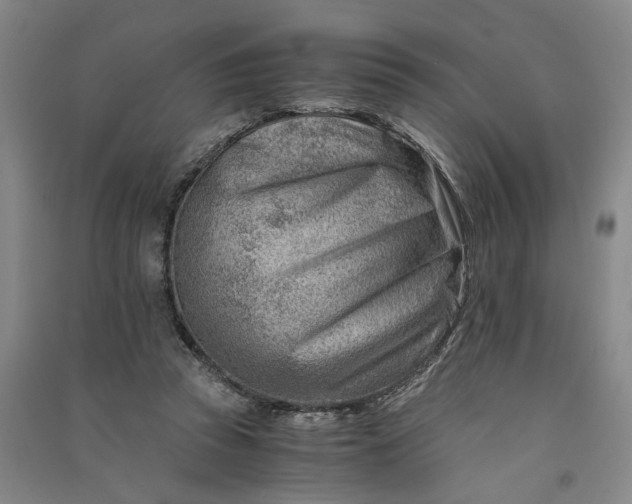 X0000090880353200708171650