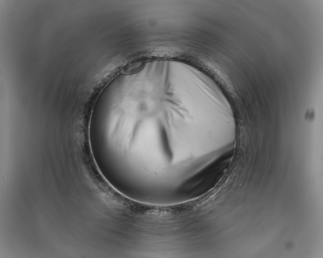 X0000090880354200708171650