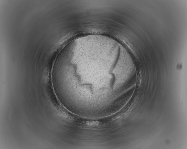 X0000090880355200708171650