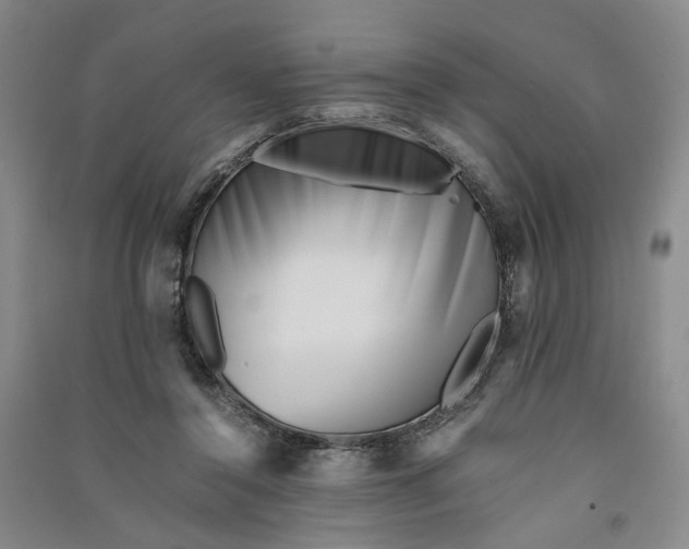 X0000090880356200708171650