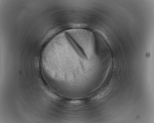 X0000090880357200708171650