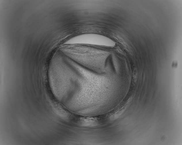 X0000090880359200708171650