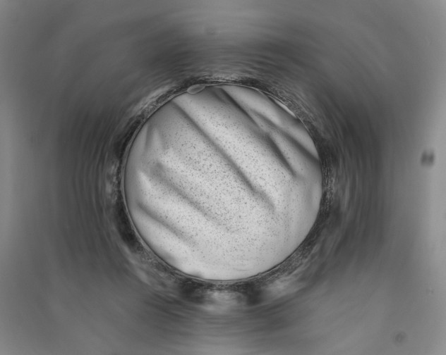 X0000090880360200708171650