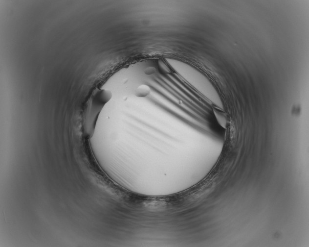 X0000090880362200708171650