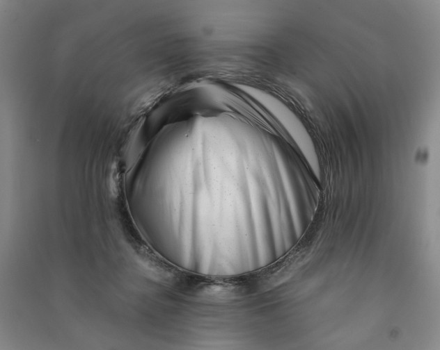 X0000090880364200708171650