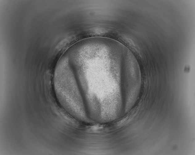 X0000090880366200708171650